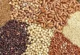 آخرین قیمت نهاده‌های دامی و محصولات کشاورزی امروز - ۱۲ مهر ۱۴۰۴