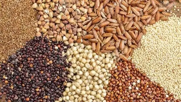 آخرین قیمت نهاده‌های دامی و محصولات کشاورزی امروز - ۱۲ مهر ۱۴۰۴