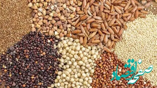 آخرین قیمت نهاده‌های دامی و محصولات کشاورزی امروز - ۱۲ مهر ۱۴۰۴