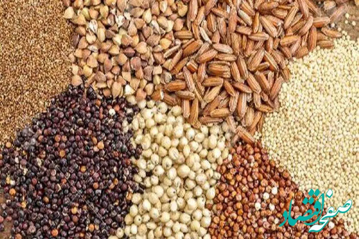 آخرین قیمت نهاده‌های دامی و محصولات کشاورزی امروز - ۱۲ مهر ۱۴۰۴