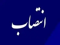 احمد زراعت کار جانشین معاون وزیر نفت کیست؟ جانشین معاون وزیر نفت در امور برنامه و بودجه منصوب شد