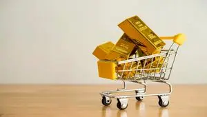 آیا شروط بانک مرکزی فشار زیادی را متوجه درگاه‌های فروش آنلاین طلا می‌کند؟ 