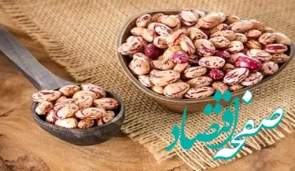 لوبیا چیتی هم پرواز کرد! | بازار حبوبات آشفته شد! 