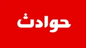 ماجرای نجات معجزه آسای کودک 2 ساله چه بود؟