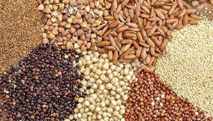 بروزترین قیمت نهاده های دامی امروز چهارشنبه ۲۶ فروردین ۱۴۰۵