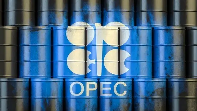 اوپک درباره توقف سرمایه‌گذاری در نفت و گاز هشدار داد!