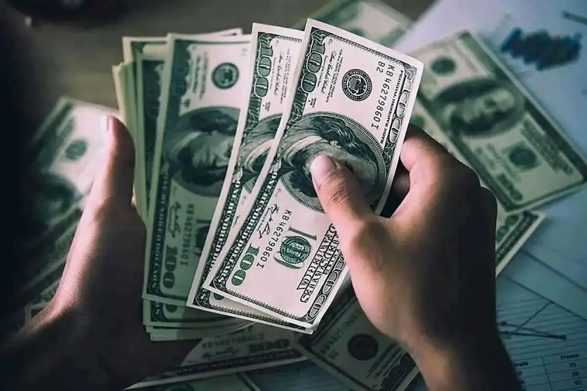 پیش بینی قیمت دلار فردا یکشنبه ۸ بهمن ماه ۱۴۰۲ / دلار صعود می کند؟ 
