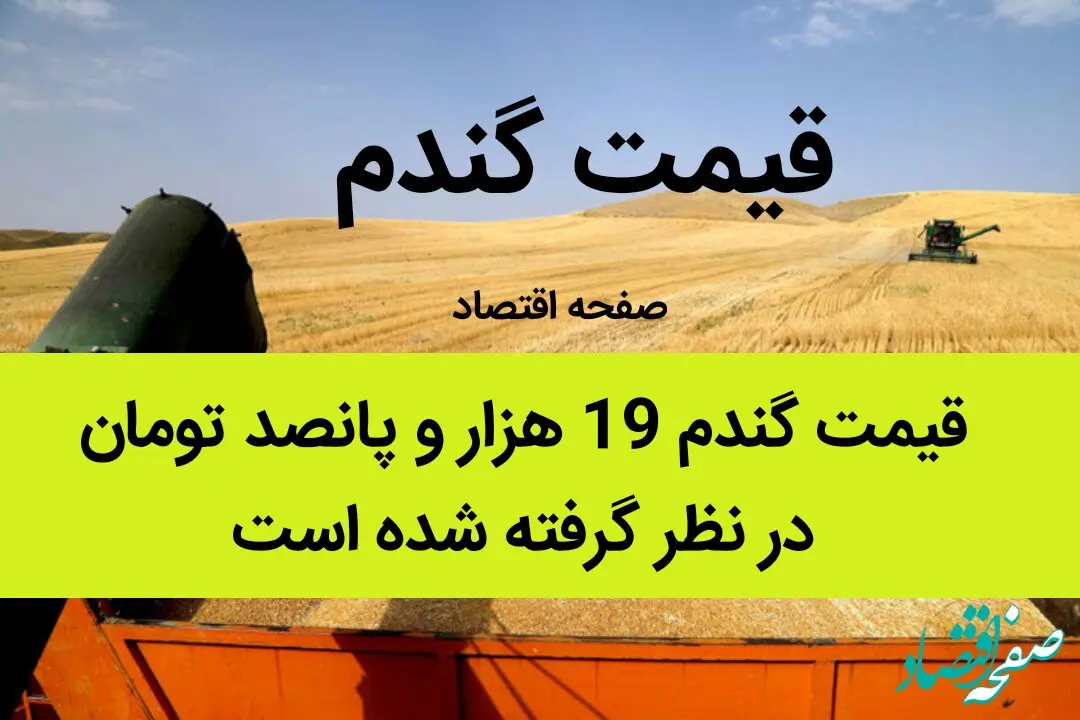 قیمت گندم 19 هزار و پانصد تومان در نظر گرفته شده است | گندمکاران حتما بخوانند