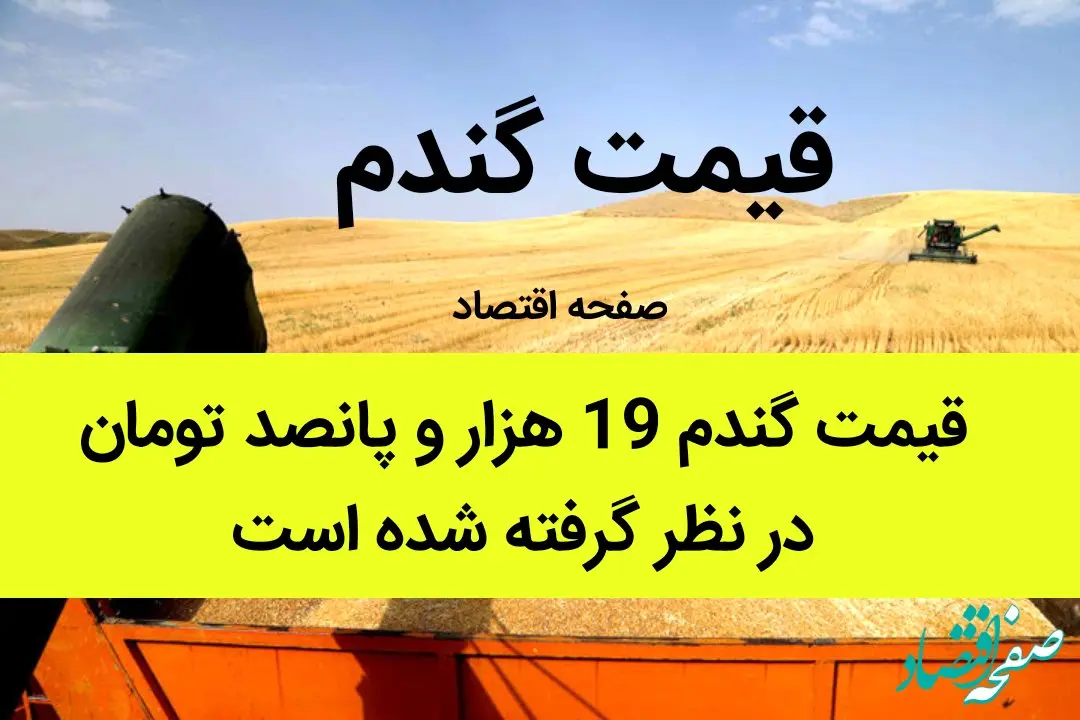 قیمت گندم 19 هزار و پانصد تومان در نظر گرفته شده است | گندمکاران حتما بخوانند