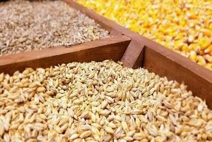 جدول قیمت نهاده های دامی و محصولات کشاورزی ۱۶ شهریور 