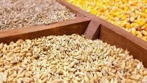 جدول قیمت نهاده های دامی و محصولات کشاورزی ۱۶ شهریور 