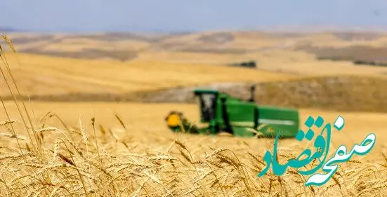 آخرین خبر از خرید تضمینی گندم و پرداخت مطالبات گندمکاران امروز سه شنبه ۲۳ مرداد ماه ۱۴۰۳ | از واردات گندم چه خبر؟ 