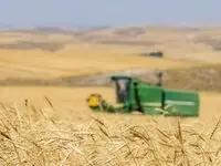 آخرین خبر از خرید تضمینی گندم و پرداخت مطالبات گندمکاران امروز سه شنبه ۲۳ مرداد ماه ۱۴۰۳ | از واردات گندم چه خبر؟ 