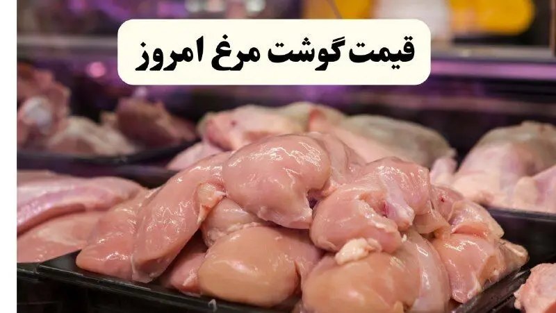 قیمت ران و سینه مرغ و قیمت مرغ امروز پنجشنبه ۸ مرداد ۱۴۰۵ + جدول