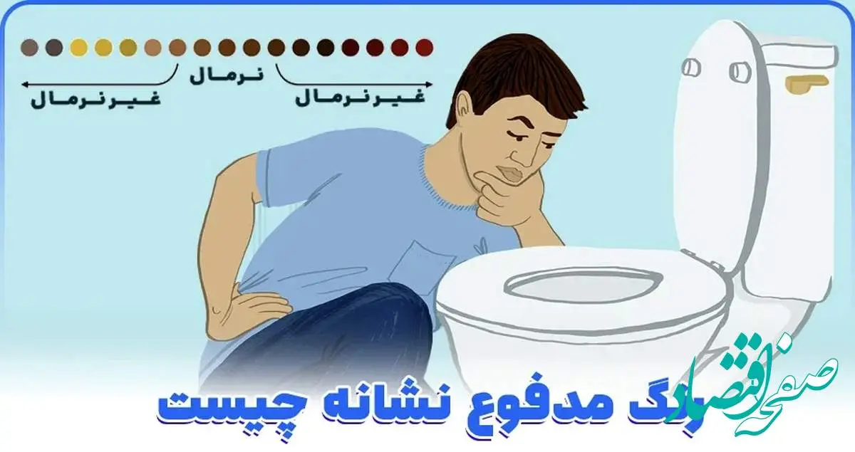 مدفوع طبیعی چه رنگیه؟ هر کدام از رنگ هاش نشانه چیست؟