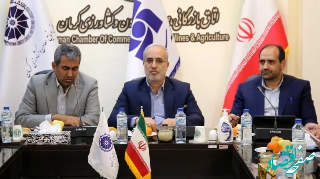  همایش روز ملی بیمه توسط بیمه سرمد در کرمان برگزار شد