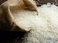 از واردات برنج چه خبر؟ 