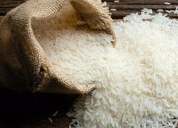 از واردات برنج چه خبر؟ 