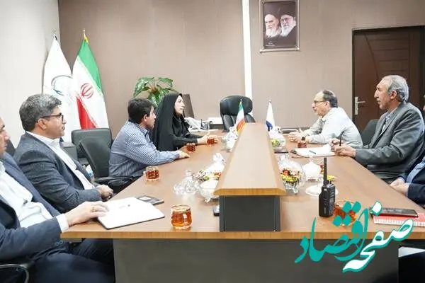 مدیران کل کتابخانه‌ها و انتقال خون استان با مدیرعامل پتروشیمی ایلام دیدار کردند