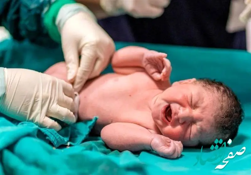 مهلت ثبت‌نام خرید سهام برای متولدین ۱۴۰۲ در بورس به پایان می‌رسد | آیا فرصت ثبت‌نام خرید سهام برای متولدین ۱۴۰۲ در بورس از دست رفته است؟ 