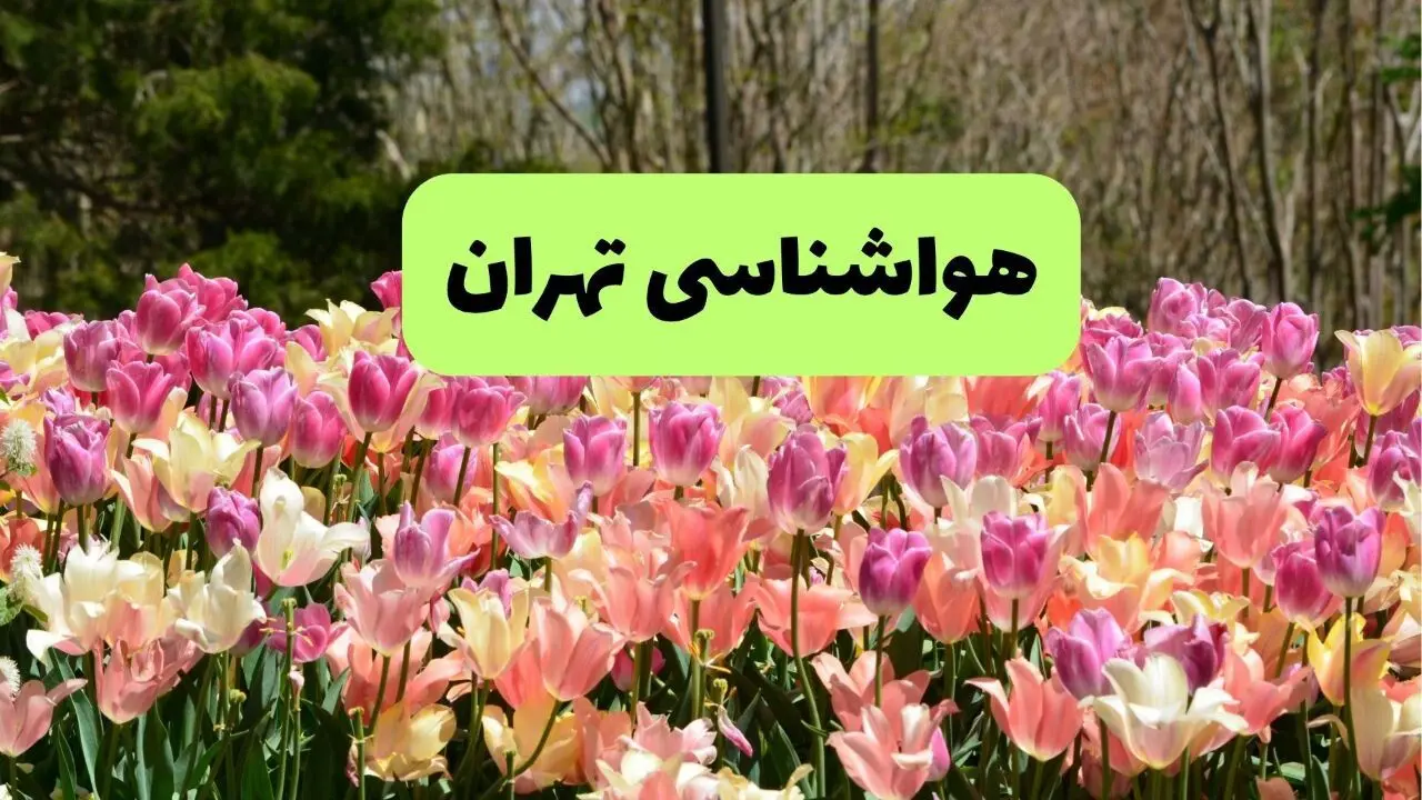 پیش بینی وضعیت آب و هوا تهران فردا یکشنبه ۱۸ خرداد ماه ۱۴۰۴ | پیش بینی هواشناسی تهران ۲۴ ساعت آینده