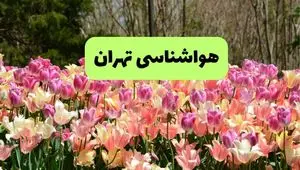 پیش بینی وضعیت آب و هوا تهران فردا یکشنبه ۱۸ خرداد ماه ۱۴۰۴ | پیش بینی هواشناسی تهران ۲۴ ساعت آینده