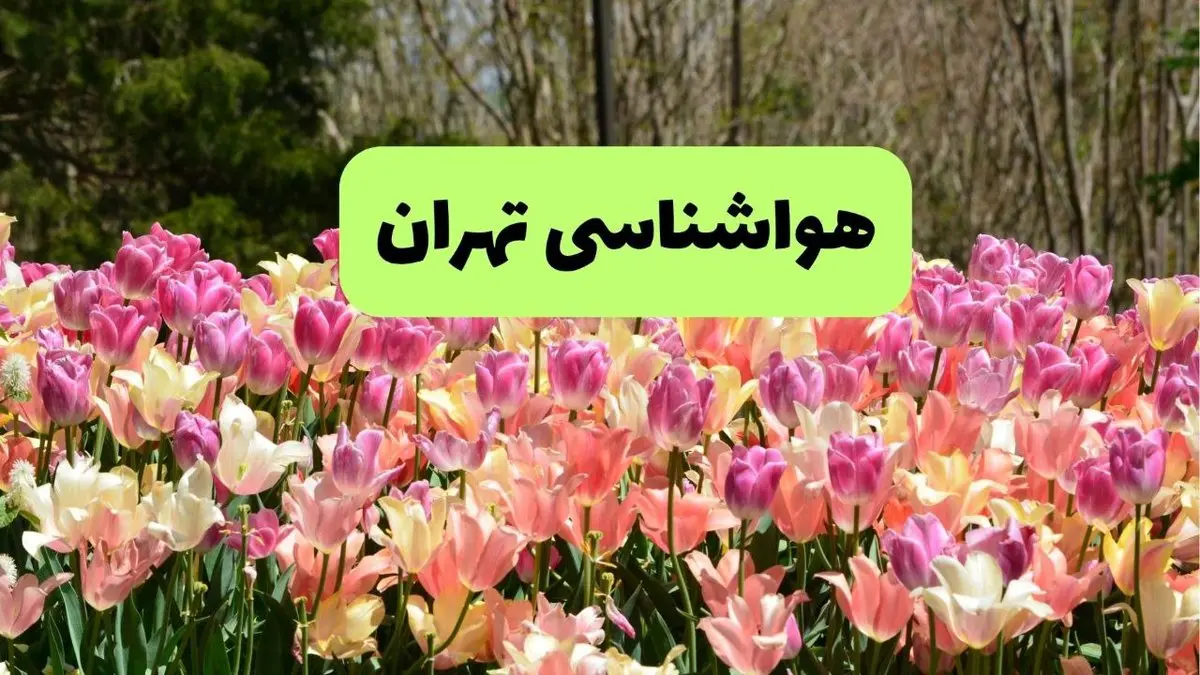 پیش بینی وضعیت آب و هوا تهران فردا یکشنبه ۱۸ خرداد ماه ۱۴۰۴ | پیش بینی هواشناسی تهران ۲۴ ساعت آینده