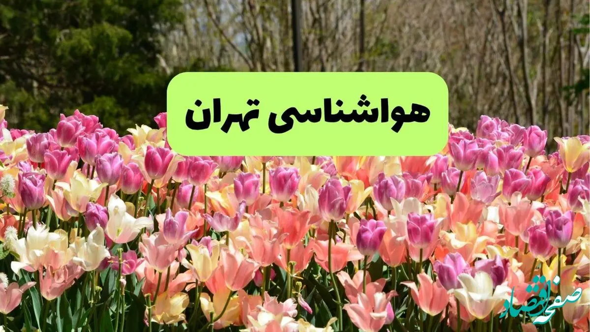 پیش بینی وضعیت آب و هوا تهران فردا یکشنبه ۱۸ خرداد ماه ۱۴۰۴ | پیش بینی هواشناسی تهران ۲۴ ساعت آینده