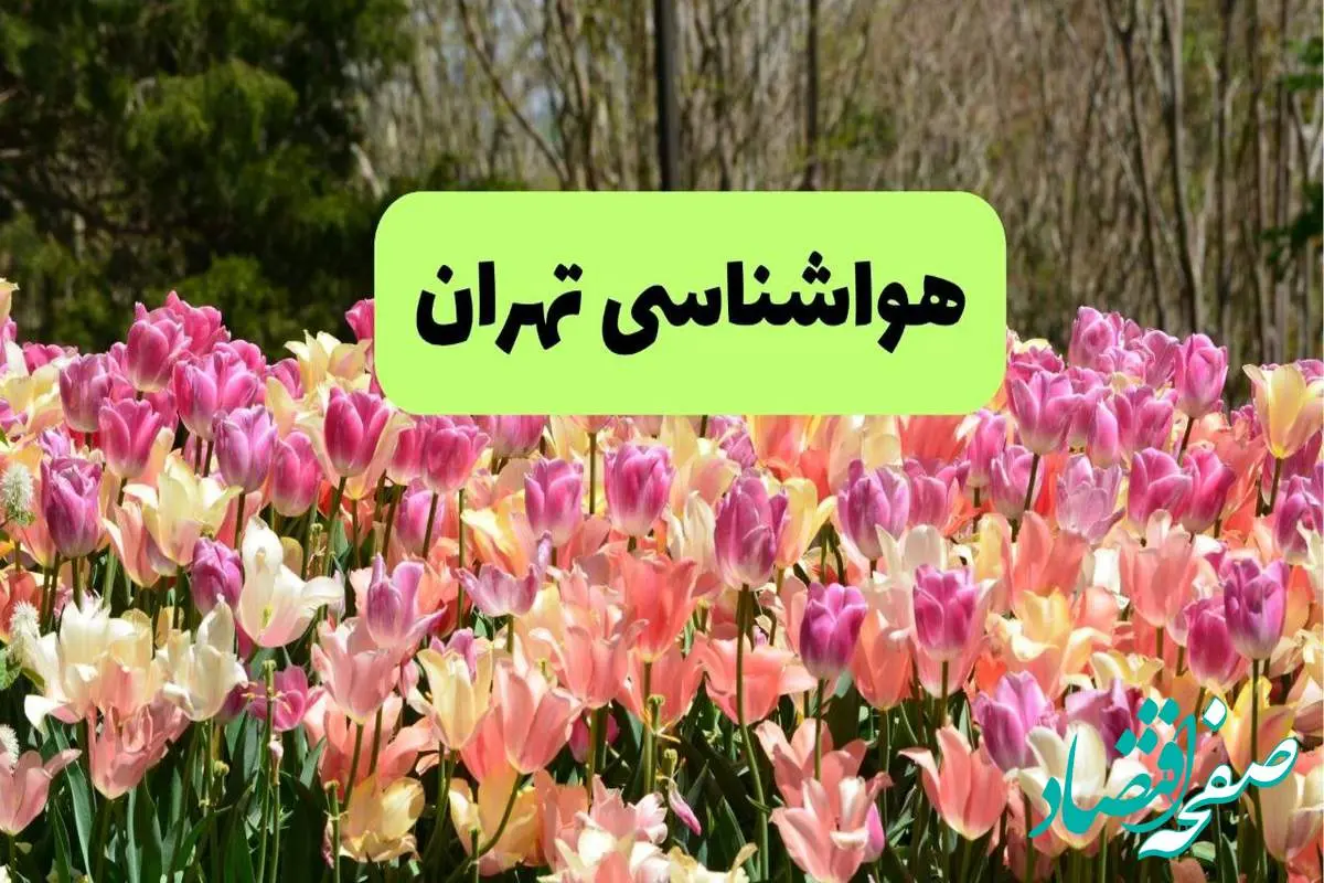پیش بینی وضعیت آب و هوا تهران فردا یکشنبه ۱۸ خرداد ماه ۱۴۰۴ | پیش بینی هواشناسی تهران ۲۴ ساعت آینده