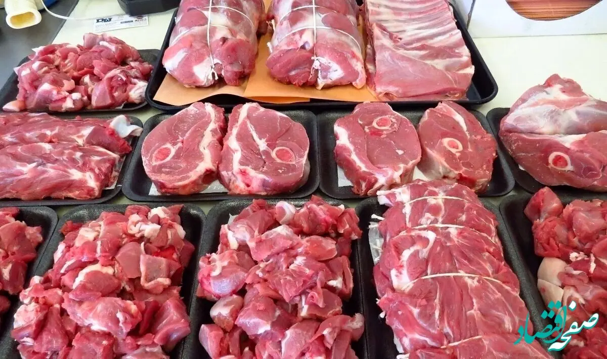 آخرین خبر از عرضه گوشت قرمز در کشتارگاه‌های رسمی | عرضه زیاد شد یا کم؟ 