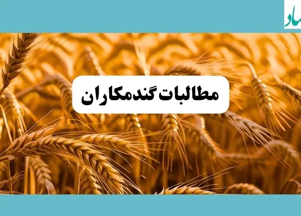 آخرین خبر از پرداخت مطالبات گندمکاران امروز چهارشنبه ۳۰ اردیبهشت