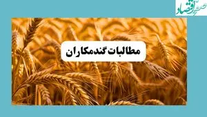 آخرین خبر از پرداخت مطالبات گندمکاران امروز چهارشنبه ۳۰ اردیبهشت