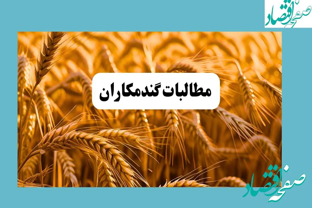 جدیدترین خبر از خرید تضمینی گندم امروز دوشنبه ۳۰ تیر ماه ۱۴۰۴ | از مطالبات گندمکاران تا قیمت گندم
