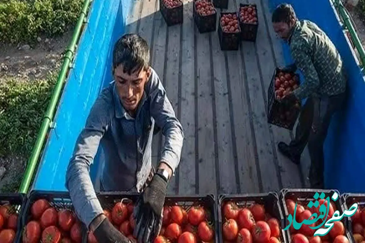 گوجه فرنگی هم قاطی میوه ها شد ! / لاکچری بازی 
گوجه فرنگی کی تمام می شود ؟ 