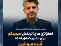 استراتژی‌های اثربخش سیمیدکو برای مدیریت هزینه‌ها