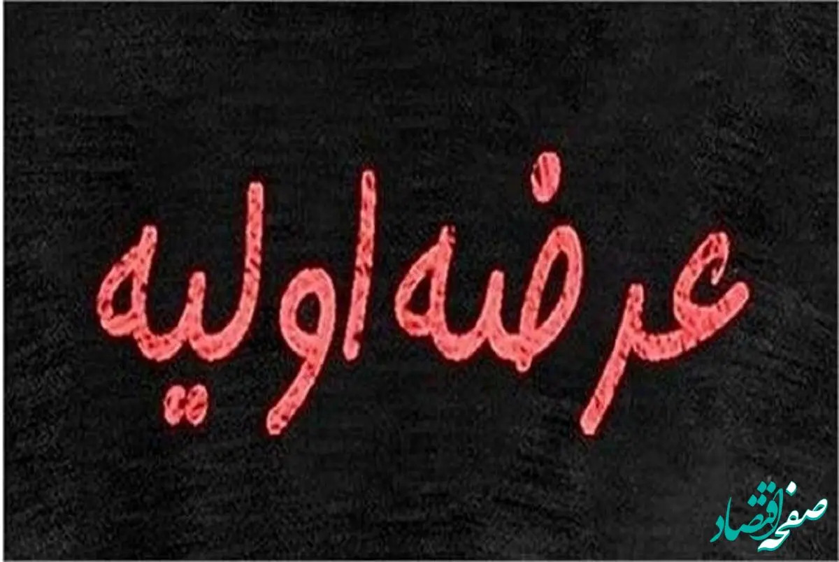 جزئیات عرضه اولیه بپویا فاش شد | چرا همه می‌خواهند سهام بپویا را بخرند؟ 