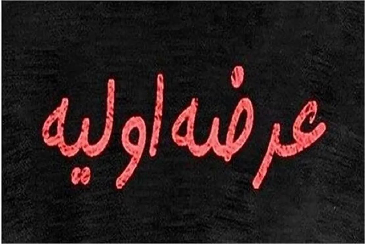 جزئیات عرضه اولیه بپویا فاش شد | چرا همه می‌خواهند سهام بپویا را بخرند؟ 