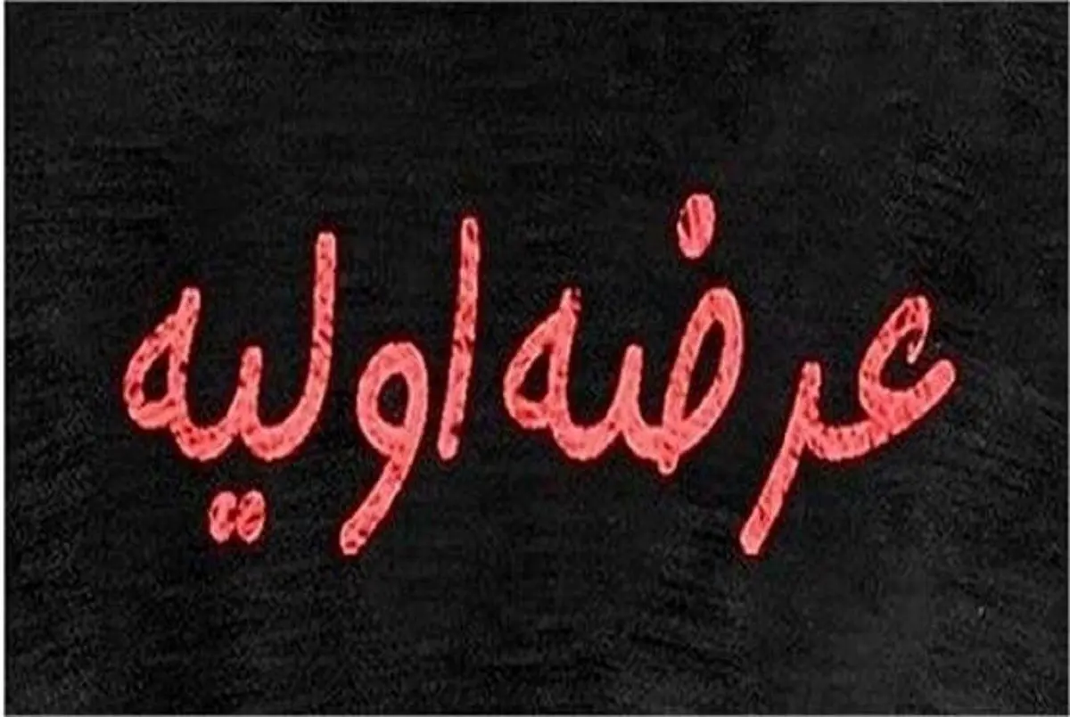 جزئیات عرضه اولیه بپویا فاش شد | چرا همه می‌خواهند سهام بپویا را بخرند؟ 