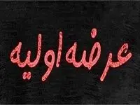 جزئیات عرضه اولیه بپویا فاش شد | چرا همه می‌خواهند سهام بپویا را بخرند؟ 