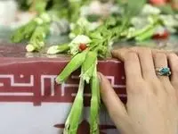 حسین حیدری که در درگیری مسلحانه به شهادت رسید، که بود؟ 