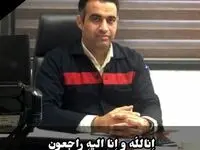 پیام تسلیت مهندس محمود لندی مدیرعامل شرکت در پی درگذشت همکار عزیزمان دکتر اسماعیل حمید