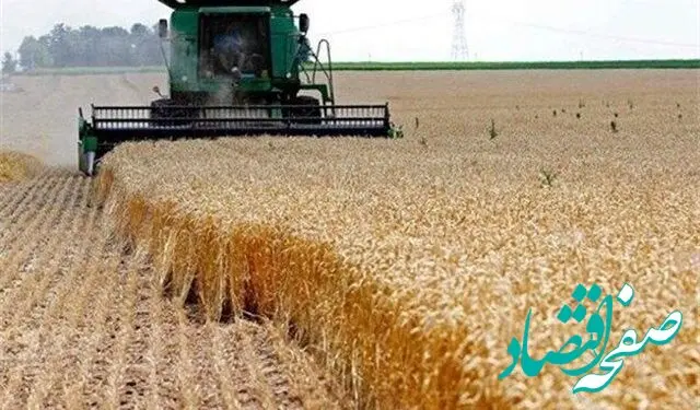 کشاورزان همچنان بدهکار هستند، مطالبات آنها را پرداخت کنید