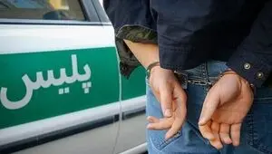عنصر نفوذی مرتبط با شبکه‌های معاند در جهرم دستگیر شد