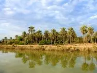 تجربه زمستانی متفاوت در منطقه آزاد اروند