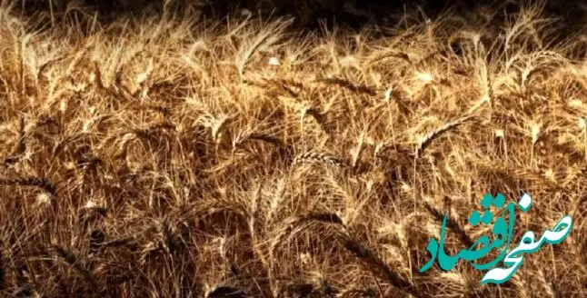 گرسنگی و قحطی عاقبت جنگ علیه ایران