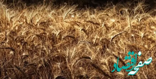 گرسنگی و قحطی عاقبت جنگ علیه ایران