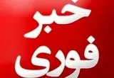 فوری؛ یک تبعه خارجی به خاطر جاسوسی از نیروگاه اتمی بوشهر دستگیر شد