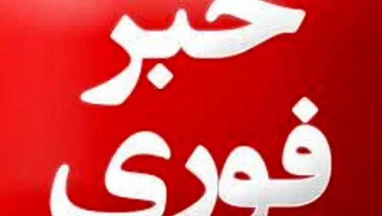 فوری؛ یک تبعه خارجی به خاطر جاسوسی از نیروگاه اتمی بوشهر دستگیر شد