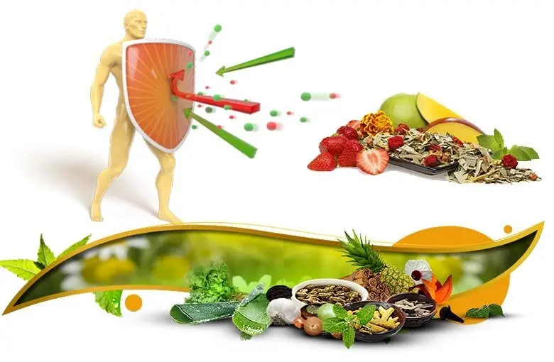 سیستم ایمنی را با این ۵ ماده غذایی تقویت کنید