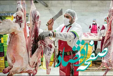 علت سیگنال نگران‌ کننده کاهش تولید گوشت چیست؟ 